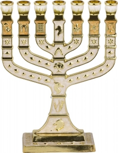 Menorah Tribes Enamel Ivory